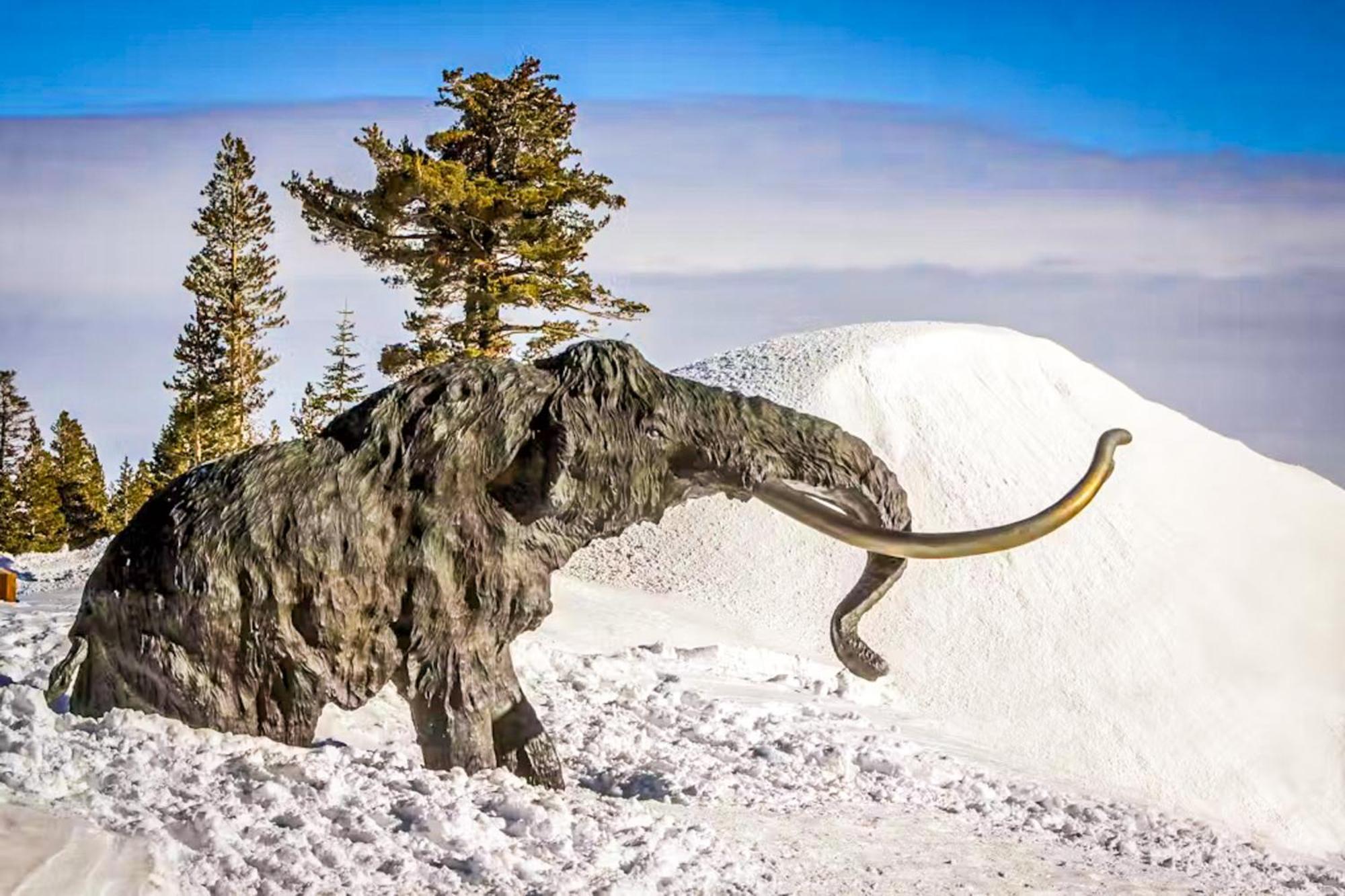 Snowflower 21 Маммот Лейкс Экстерьер фото